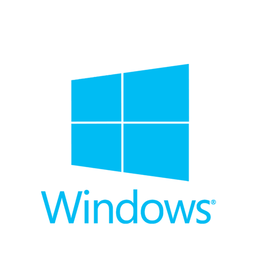 Das Windows Team im SS17